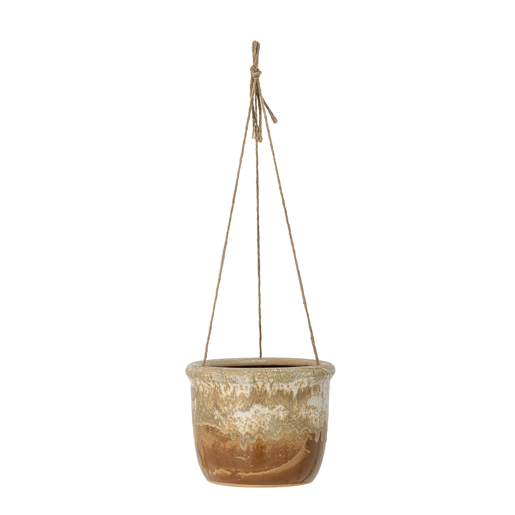 Vanda Botanica dans un pot suspendu en terre cuite - FloraStore