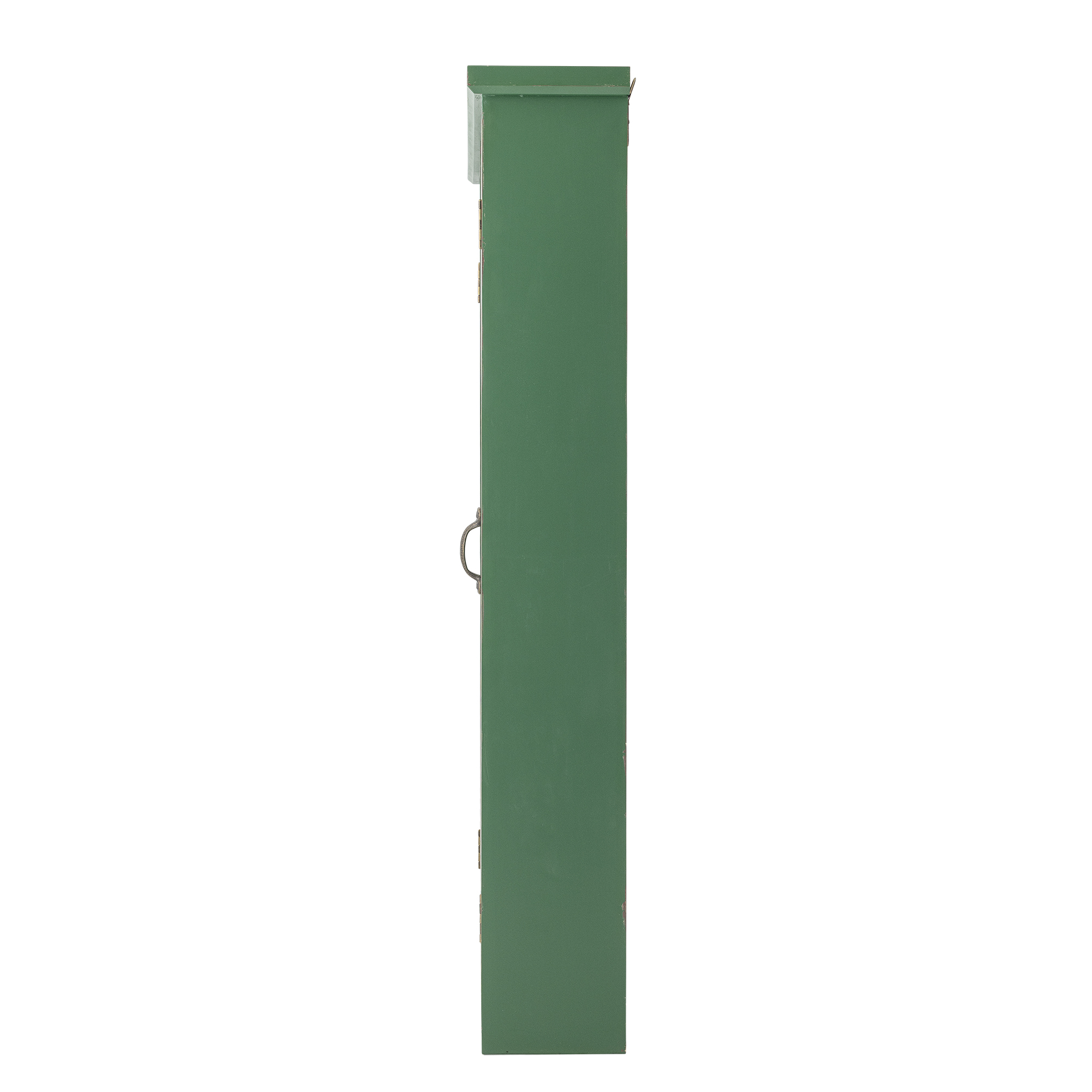 Hazem Cabinet, Green, Firwood