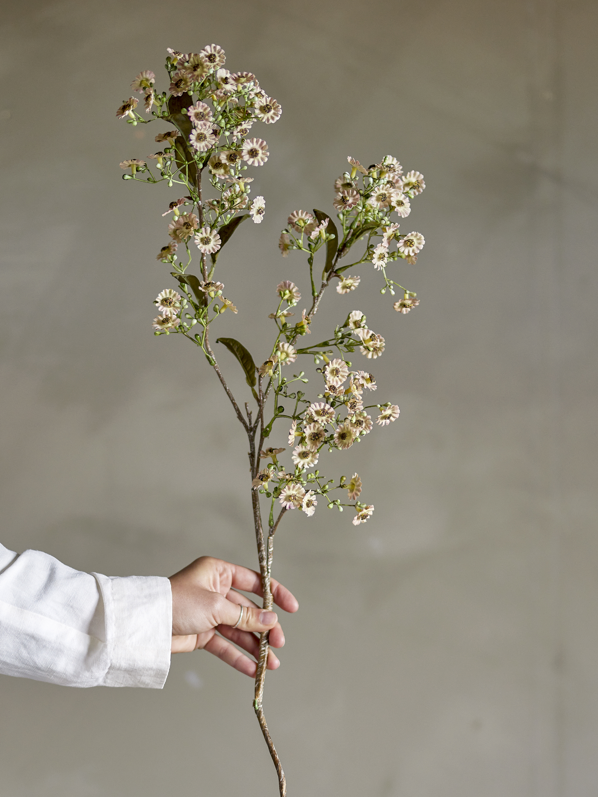 Waxflower Stem, White, Artificial Flowers