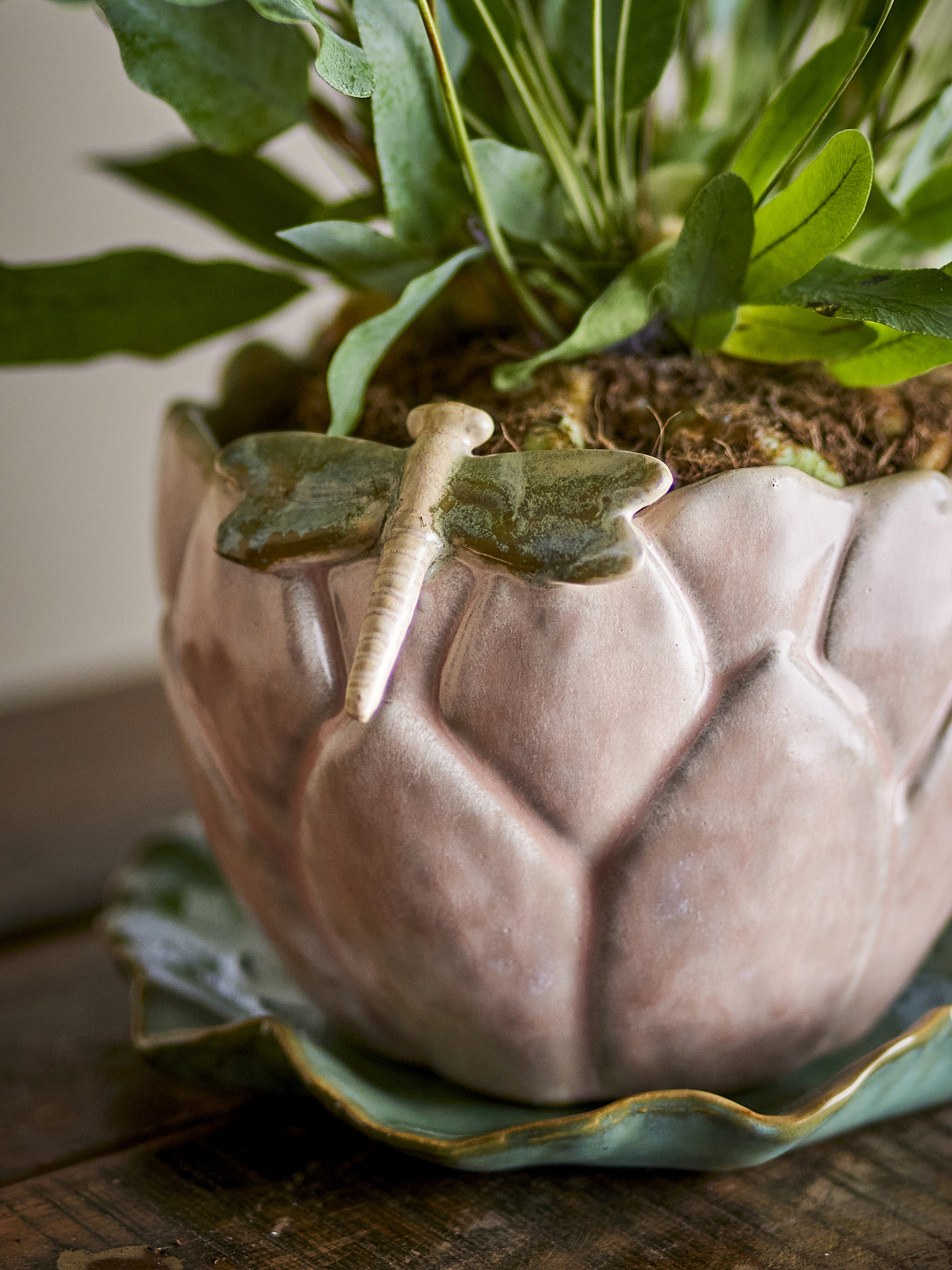 Jaylee Flowerpot w/Saucer, Rose, Stoneware