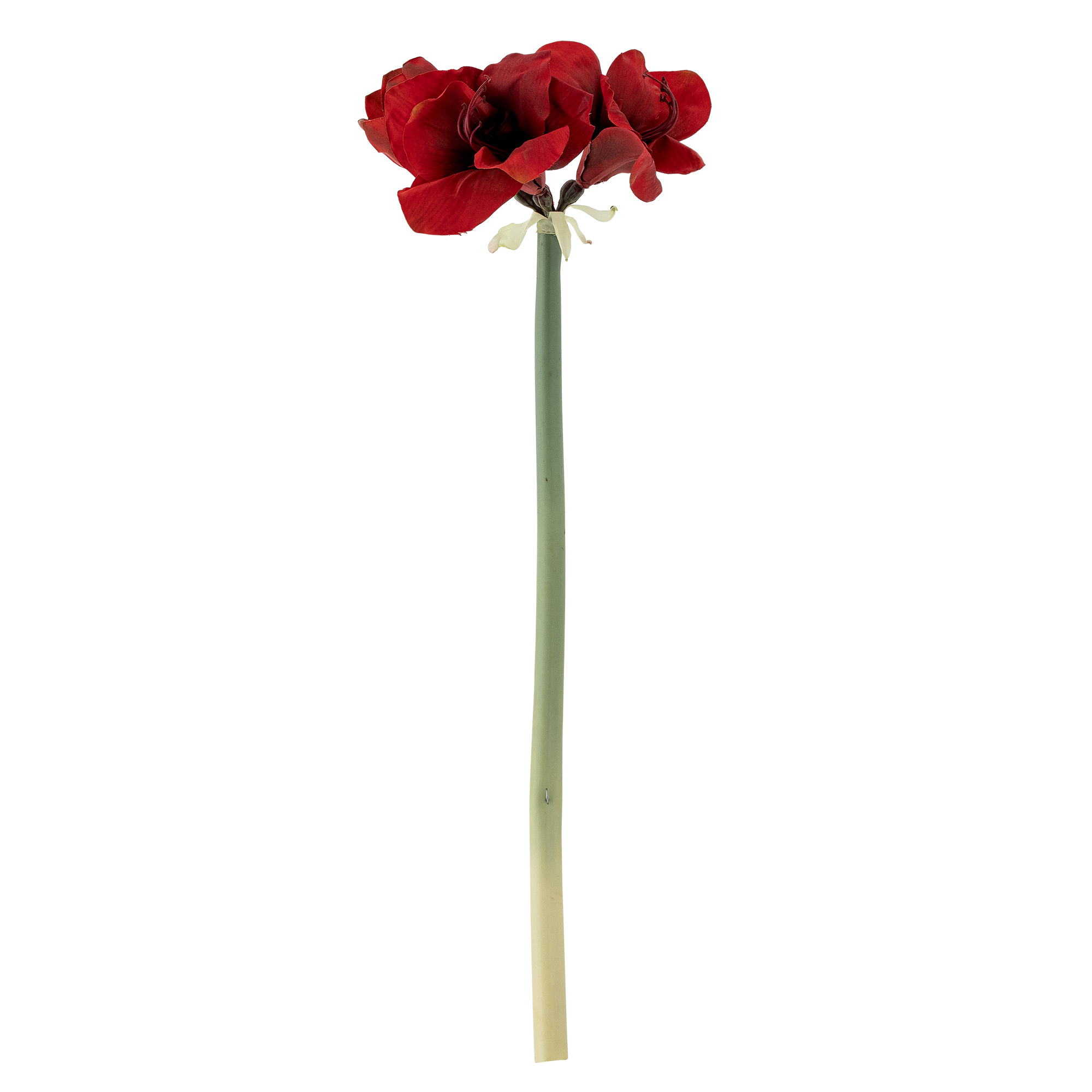 Amaryllis Stiel, Rot, Künstliche Blumen